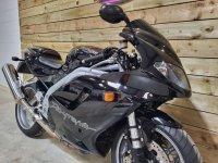 TRIUMPH DAYTONA 955