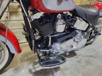 HARLEY-DAVIDSON Softail