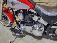 HARLEY-DAVIDSON Softail