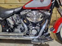 HARLEY-DAVIDSON Softail