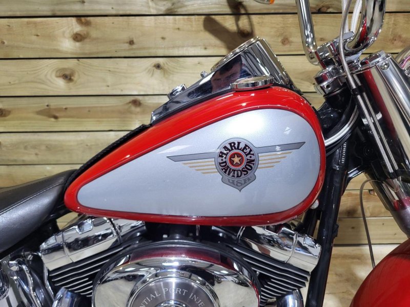 HARLEY-DAVIDSON Softail
