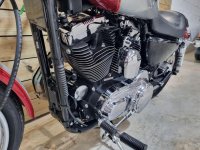 HARLEY-DAVIDSON Sportster