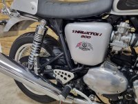 TRIUMPH THRUXTON 900